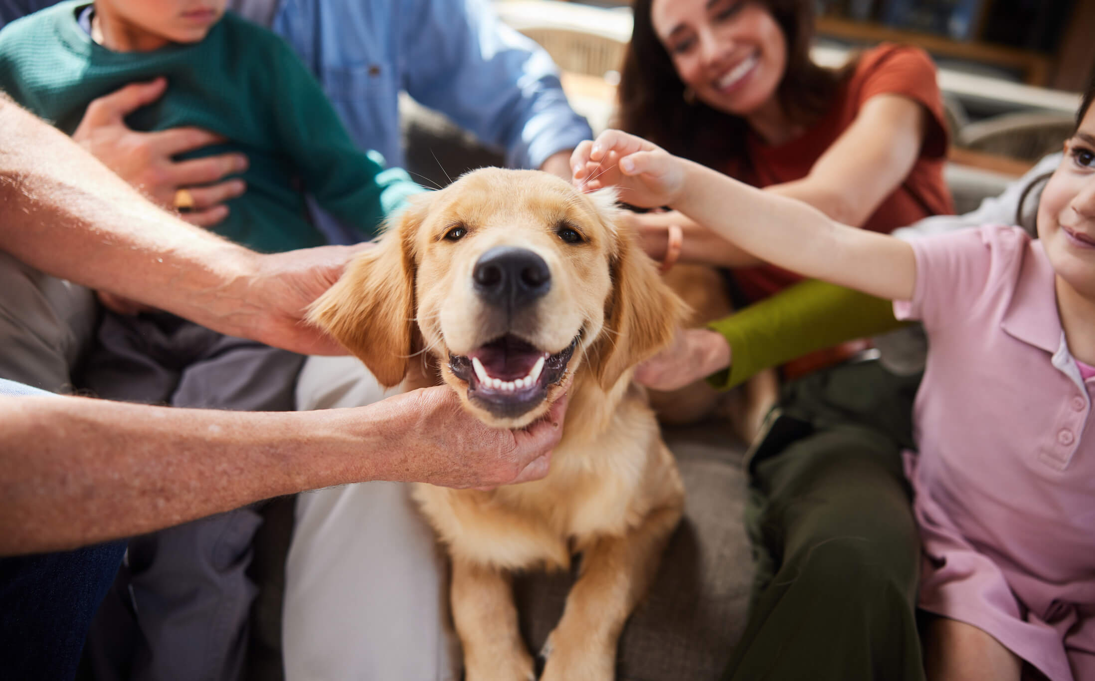 Smiling multi-generation family petting their golden retriever while sitting together on a sofa in their living room at home